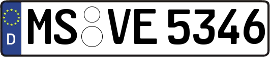 MS-VE5346