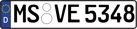 MS-VE5348