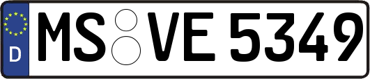 MS-VE5349