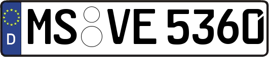 MS-VE5360