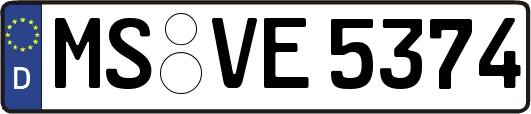 MS-VE5374