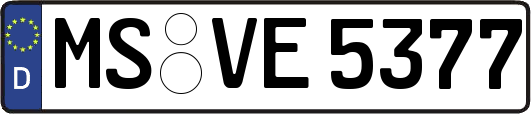 MS-VE5377