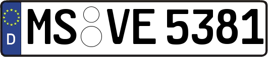 MS-VE5381