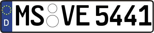 MS-VE5441