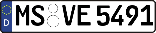 MS-VE5491