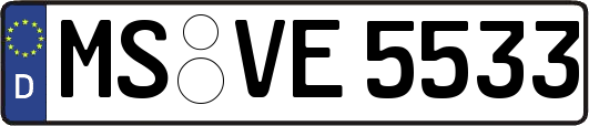 MS-VE5533