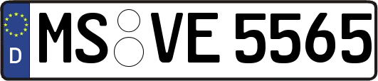 MS-VE5565