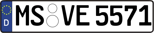 MS-VE5571