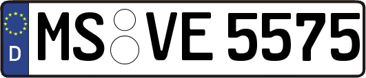 MS-VE5575
