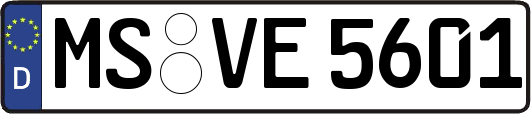 MS-VE5601
