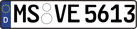 MS-VE5613