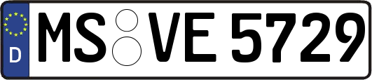 MS-VE5729
