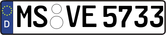 MS-VE5733