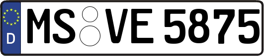 MS-VE5875