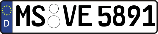 MS-VE5891