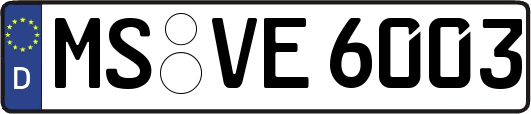 MS-VE6003