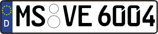 MS-VE6004