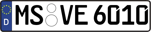 MS-VE6010