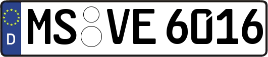 MS-VE6016