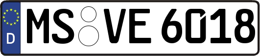 MS-VE6018