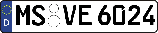 MS-VE6024