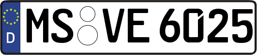 MS-VE6025