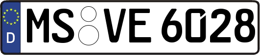 MS-VE6028
