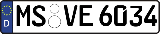MS-VE6034