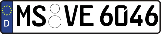 MS-VE6046