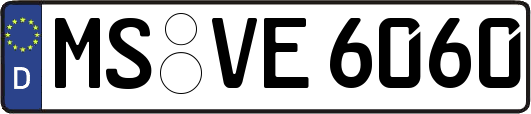 MS-VE6060