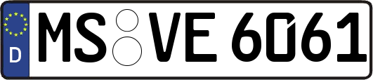 MS-VE6061