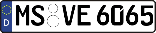 MS-VE6065