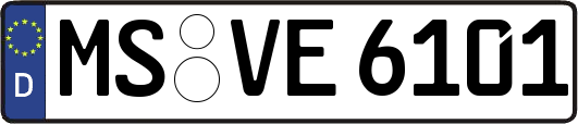MS-VE6101