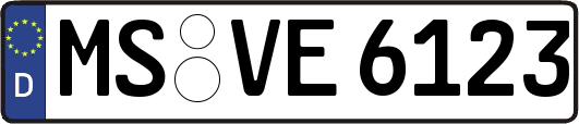 MS-VE6123