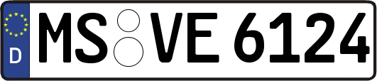 MS-VE6124