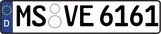 MS-VE6161