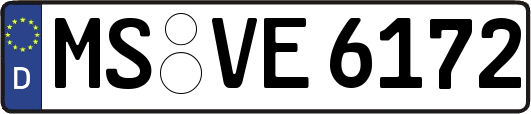 MS-VE6172