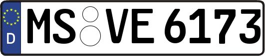 MS-VE6173