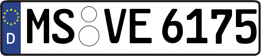 MS-VE6175