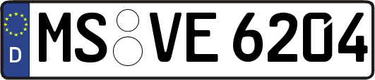 MS-VE6204