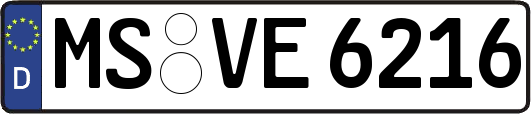 MS-VE6216