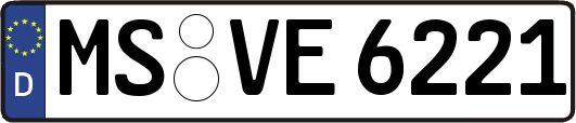 MS-VE6221