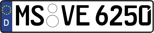 MS-VE6250
