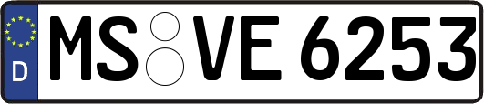 MS-VE6253