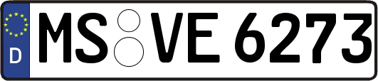 MS-VE6273