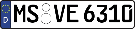 MS-VE6310
