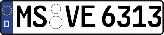 MS-VE6313