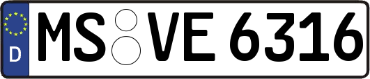 MS-VE6316