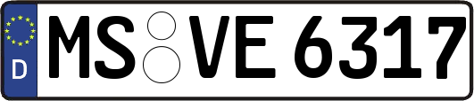 MS-VE6317