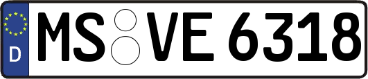 MS-VE6318